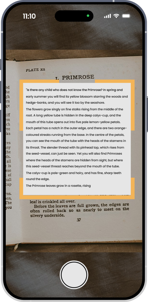 OCR camera scanner preview